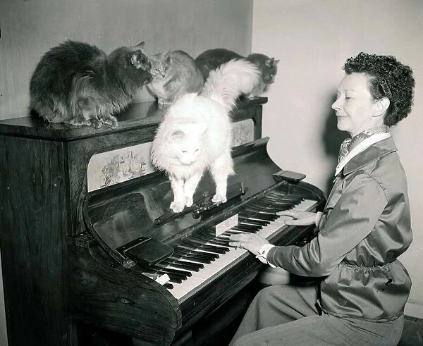 Woman playing the piano to cats of various breeds February 1954