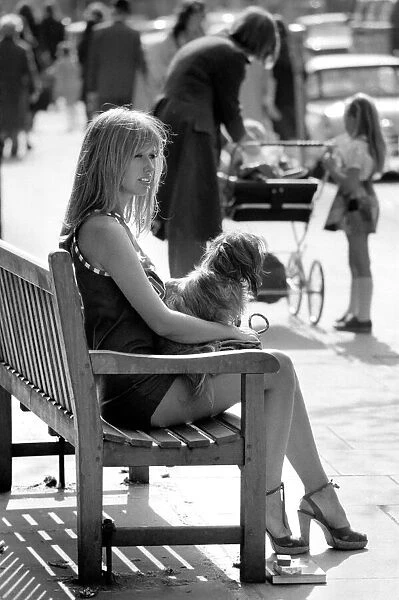 Woman taking her dog for a walk on Kings Road in Chelsea, sitting down on a bench