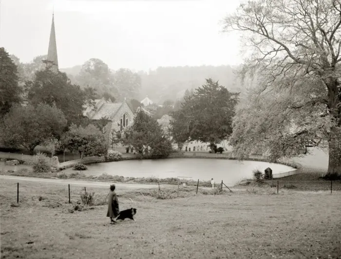 Framed Print : A woman walking her border collie dog in the countryside Lake church trees field