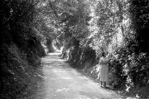 Woman walks in a country lane. Rural Scenes January 1938 OL302A-003