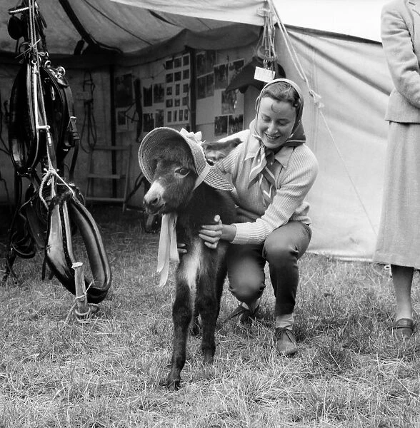 Woman with a young donkey foal at the Richmond Horse Show