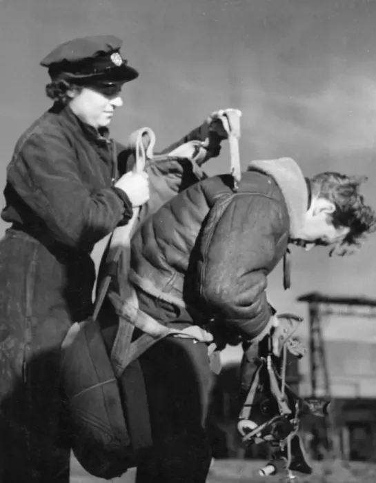 Framed Print : Women flight mechanics are working for the R. A. F. in Flying training Command Framed Print : Women flight mechanics are working for the R. A. F. in Flying training Command