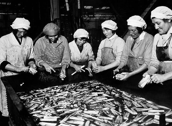 Women in Industry working in Smedleys canning Factory A©Mirrorpix