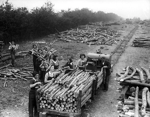 Women LumberJacks 1941 women doing mens jobs during the war years