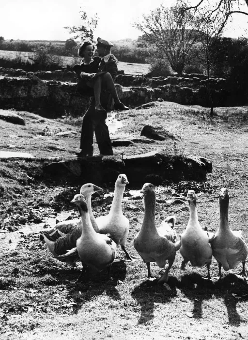 Framed Print : Women at War Marriage October 1944 The bride and groom disturbed the geese