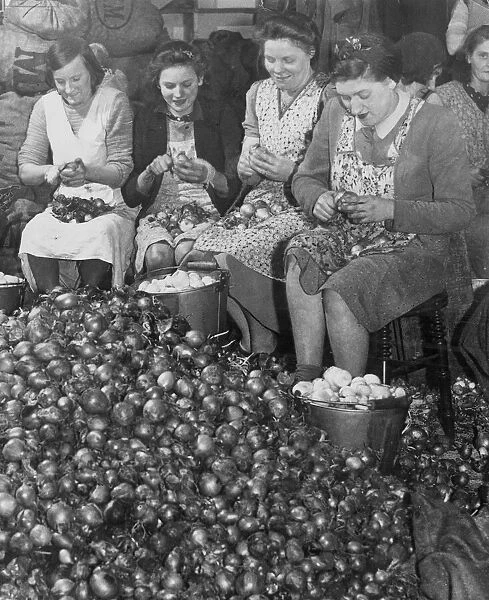 Women workers peeling thousands of onions that will eventually be pickled in jars