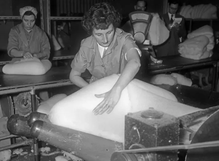 Framed Print : Women working in the wool felt section at the Denham and Hargreaves factory, Atherstone Framed Print : Women working in the wool felt section at the Denham and Hargreaves factory, Atherstone