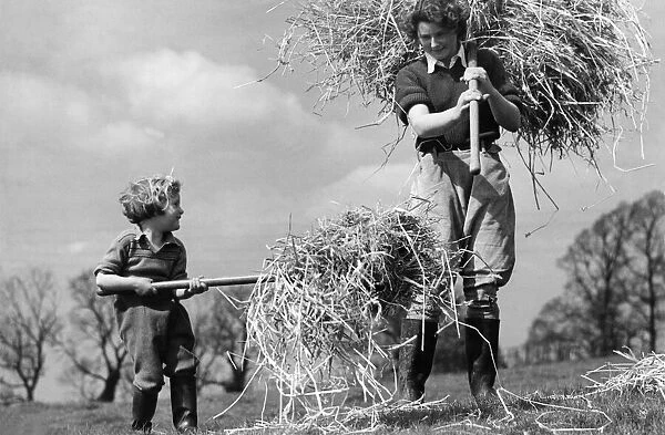 Womens Land Army girls of all ages at work in the British countryside