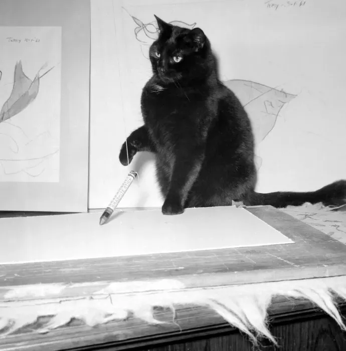 Framed Print : The Wonder-Cat Topsy the cat has had his drawings exhibited at an Art exhibition in Framed Print : The Wonder-Cat Topsy the cat has had his drawings exhibited at an Art exhibition in