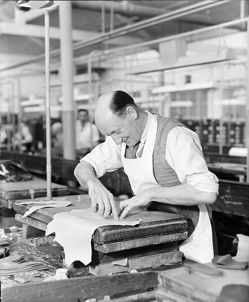 A worker at the Mansfield shoe factory in Northampton, cutting out a leather shoe upper