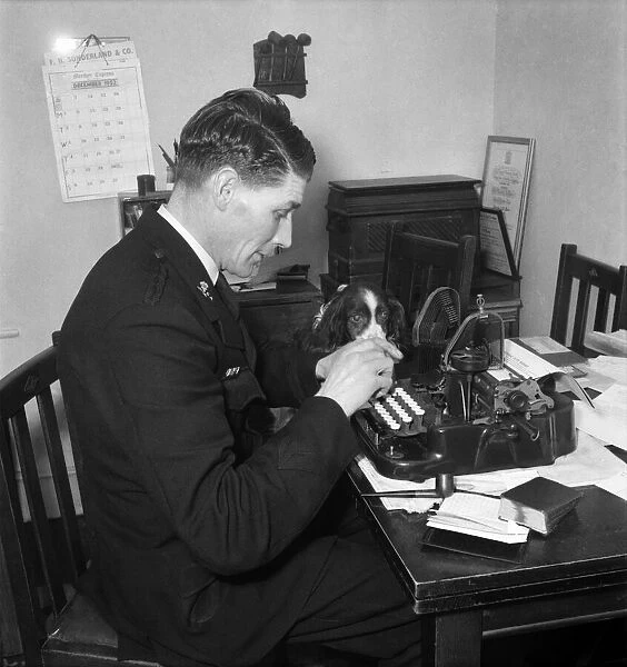 A worker for the RSPCA sitting at his desk typing his work with his pet dog beside him