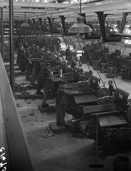 Workers feeding tobacco leaf in to machines at the start of the cigarette manufacture in
