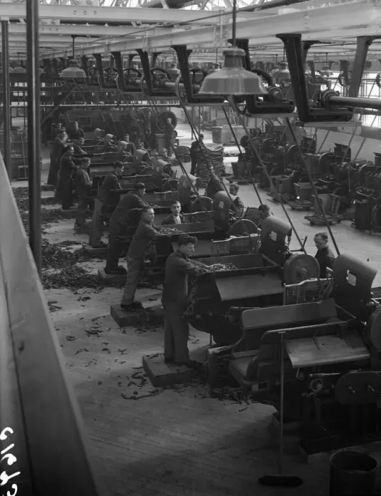 Framed Print : Workers feeding tobacco leaf in to machines at the start of the cigarette manufacture in Framed Print : Workers feeding tobacco leaf in to machines at the start of the cigarette manufacture in