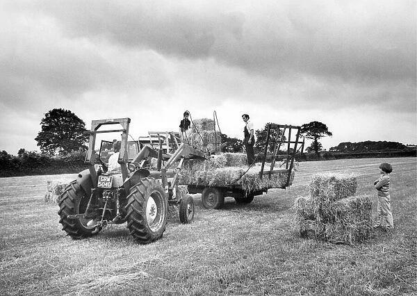 Workers rushing to lift the last of the hay as the storm clouds gather over a Cumbrian