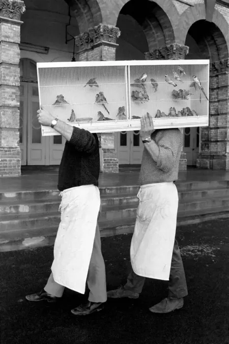 Framed Print : Two workmen carrying some of the first entrants into Alexandra Palace