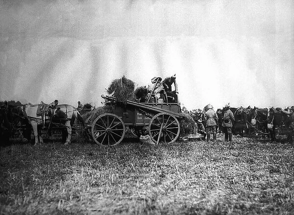 World War I German Soldiers on a Forage waggon issue supplies to troops. Circa 1916