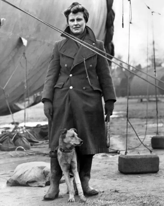 Framed Print : World War II Mascots. With his broken left leg still in bandage Jim