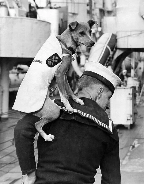 World War II mascots. The crew of H. M. S. Norman had a whip-round