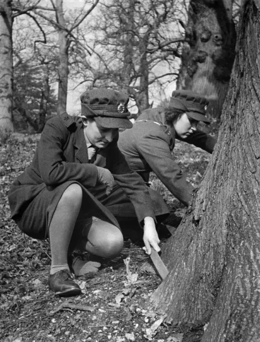 Framed Print : World war II Women: Recruit Christmas looking for a snail... Volunteer Christmas of the A Framed Print : World war II Women: Recruit Christmas looking for a snail... Volunteer Christmas of the A