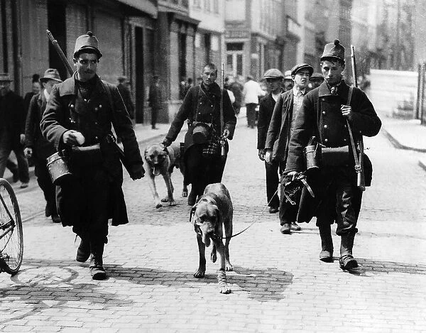 Wounded Belgian gun dog being led into town by soldiers 1914 World War One