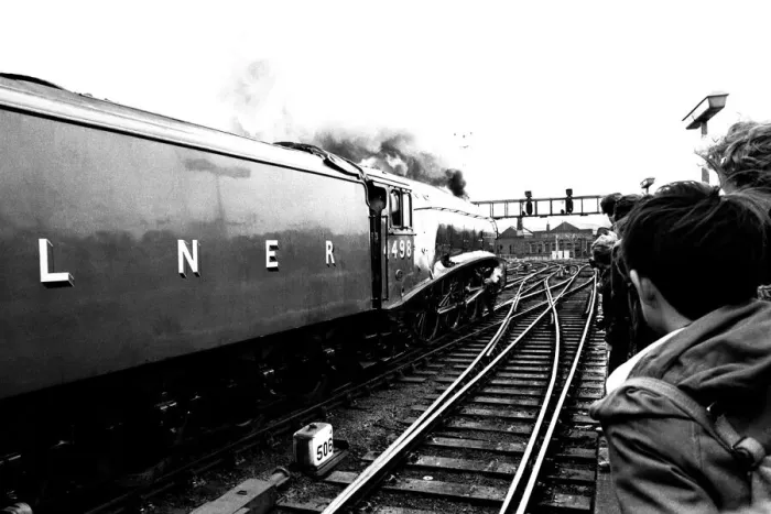 Framed Print : Wowing the platform crowd at Newcastle Central station is Gresley streamlined A4 pacific