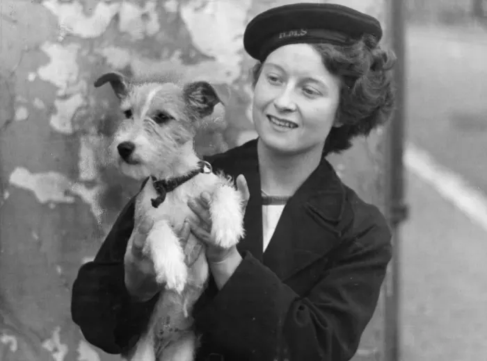 Framed Print : A WREN, (The Womens Royal Naval Service) possibly called Nellie, with the puppy dog Framed Print : A WREN, (The Womens Royal Naval Service) possibly called Nellie, with the puppy dog