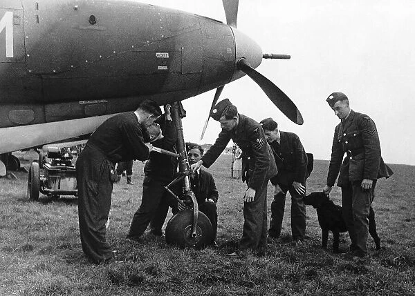 WW2 The Bell Airacobra 1941 RAF examine the wheel of tricycle