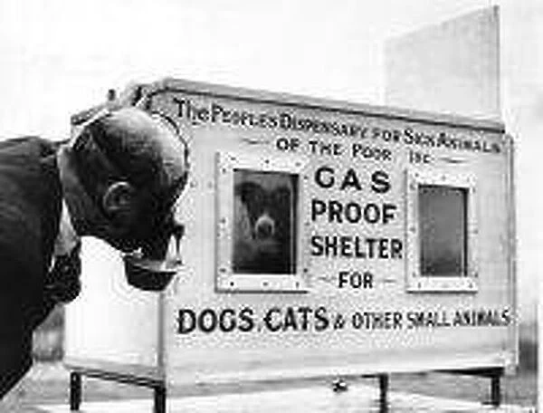 WW2 First gas proof chamber for animals invented by Mr C H Gaunt
