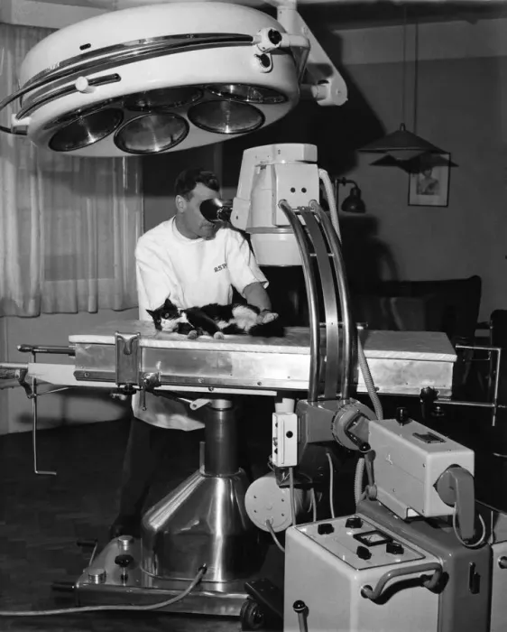 Framed Print : This X ray machine will protect pets from the danger of radiation