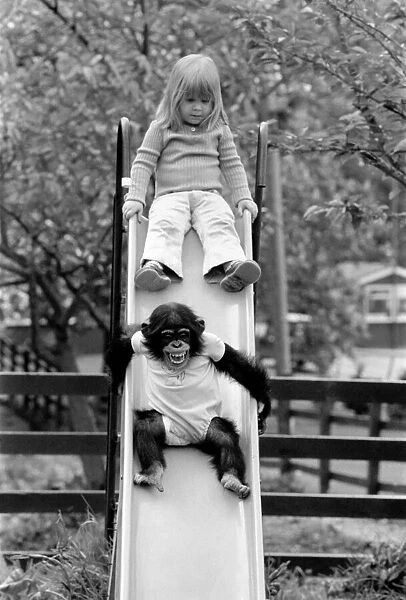Three year old Emma Colbourne playing on the slide in her local park with a chimpanzee