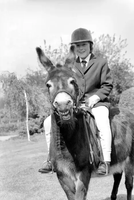 Framed Print : Nine year old girl on her donkey at the Donkey racing championships May 1975