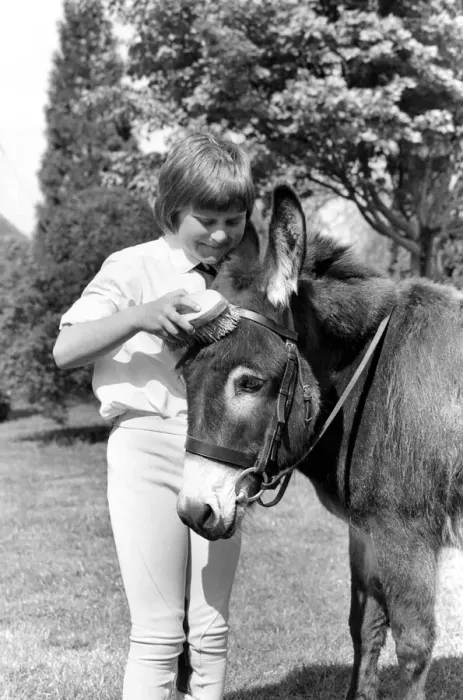 Framed Print : Nine year old girl with donkey at the Donkey racing championships May 1975 Framed Print : Nine year old girl with donkey at the Donkey racing championships May 1975