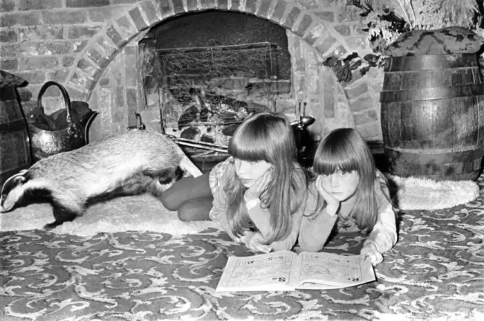 Framed Print : Eight year old Rebecca Gaskell, together with her five year old sister Rosanne