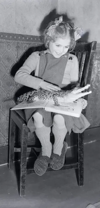 Framed Print : Five year Pauline Darley playing with a baby crocodile December 1953 Framed Print : Five year Pauline Darley playing with a baby crocodile December 1953