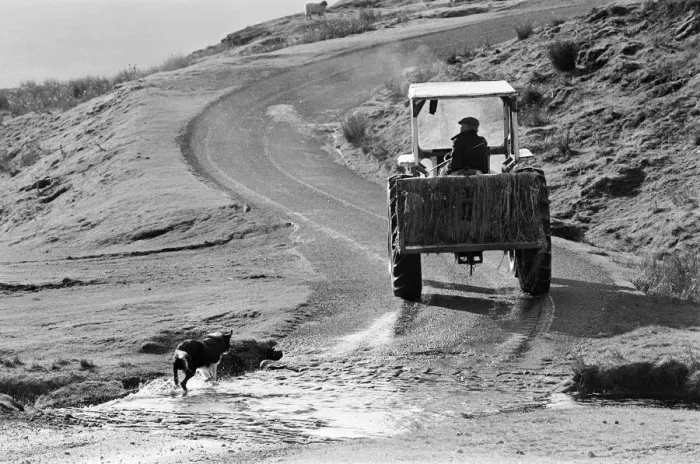 Framed Print : Yorkshire Dales, North Yorkshire. Sunday 24th October 1982
