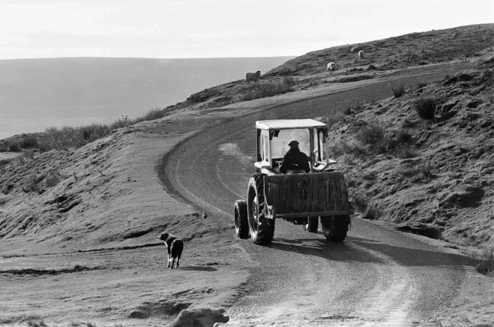 Framed Print : Yorkshire Dales, North Yorkshire. Sunday 24th October 1982 Framed Print : Yorkshire Dales, North Yorkshire. Sunday 24th October 1982