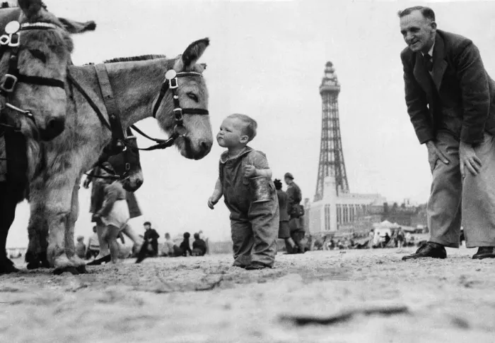 Framed Print : Young boy on Blackpool beach as family take a holiday near the end of the Second World Framed Print : Young boy on Blackpool beach as family take a holiday near the end of the Second World
