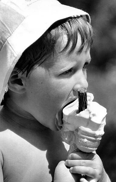 A young boy enjoys a 99 ice cream at Coventrys War Memorial Park