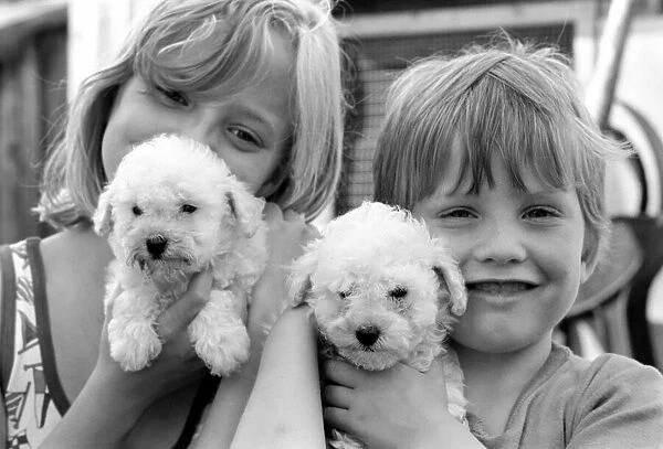 A young boy and girl with terrier puppiesy at the Frant Kennels in Hildenborough near
