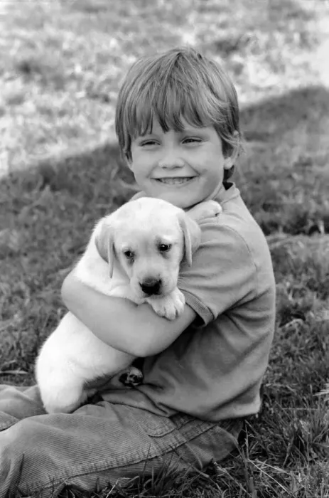 Framed Print : A young boy with a labrador puppy at the Frant Kennels in Hildenborough near Tonbridge Framed Print : A young boy with a labrador puppy at the Frant Kennels in Hildenborough near Tonbridge