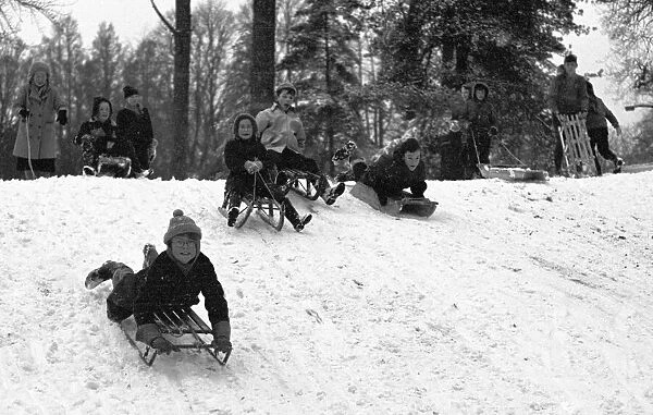 Young children make the most of a cold snap by going sledging at The Grove