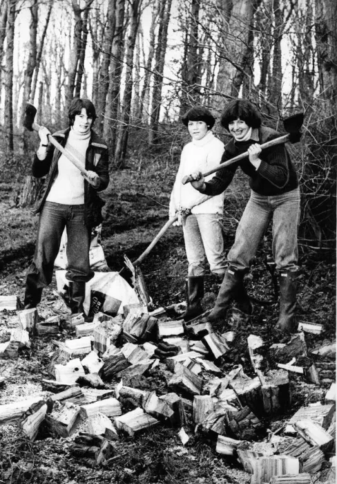 Framed Print : Young farmers, l to r, Jackie Robson, Patricia Manners and Sandra Dickinson chopping wood Framed Print : Young farmers, l to r, Jackie Robson, Patricia Manners and Sandra Dickinson chopping wood