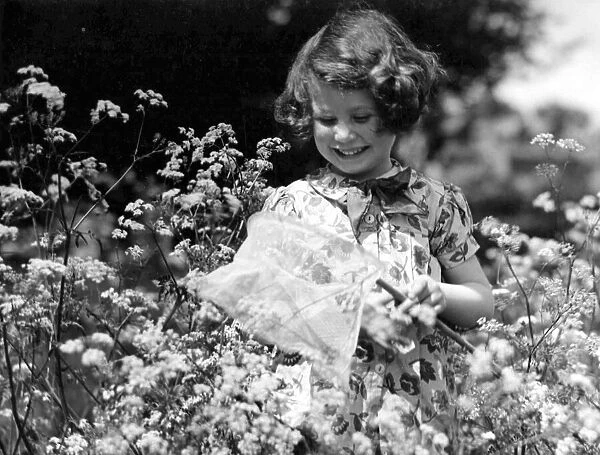 Young girl catching butterflies using a net in the back garden Circa 1945
