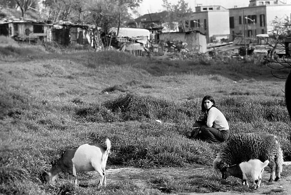Young girl with farm animals in a poor suburb on the outskirts of Rome