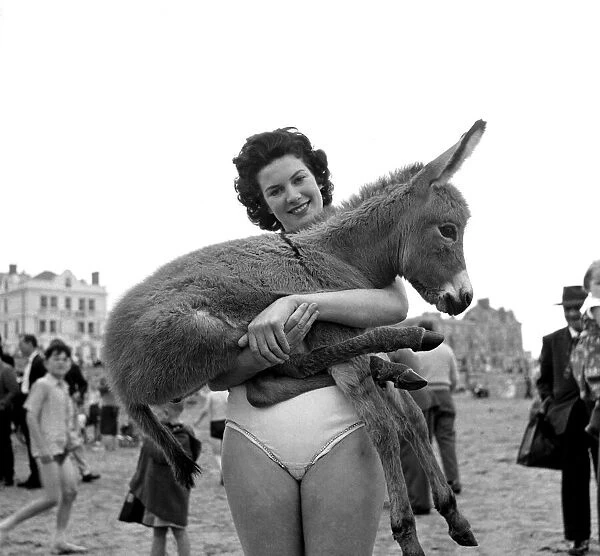 Young girl holding a baby donkey. Newquay, Cornwall. 7th July 1959