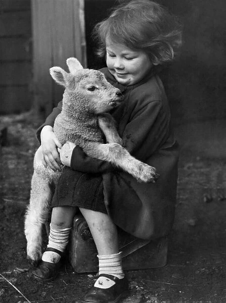 A young girl holding a little lamb in her arms at a farm. March 1946 P004208