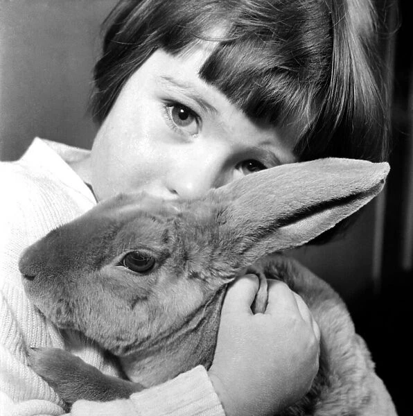 Young girl holding her pet rabbit February 1953 D835