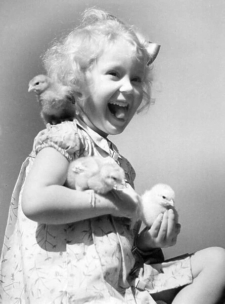 Young girl holding tiny fluffy chicks in her hand, one on her shoulder Circa 1945