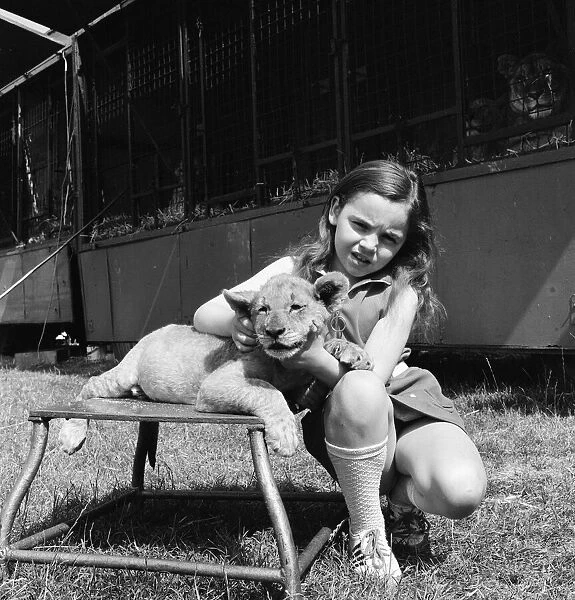 Young girl is a lion tamer, Teesside, Circa 1972