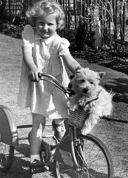 Young girl riding her bicycle with pet dog in the basket on the front handlebars